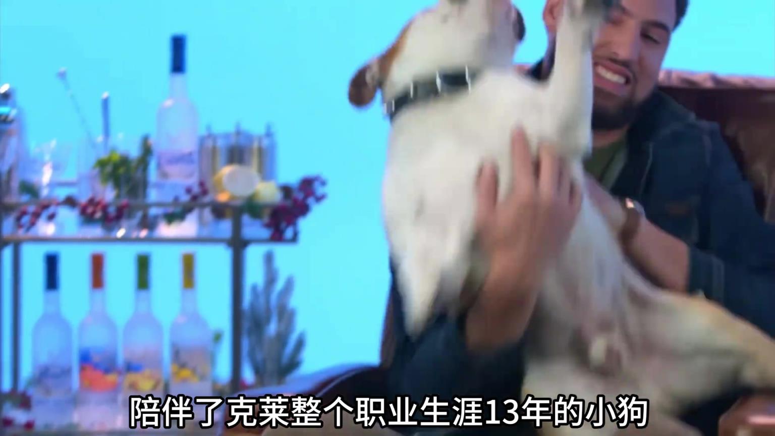 陪伴克萊13年的小狗去世了，不敢相信克萊得多么傷心